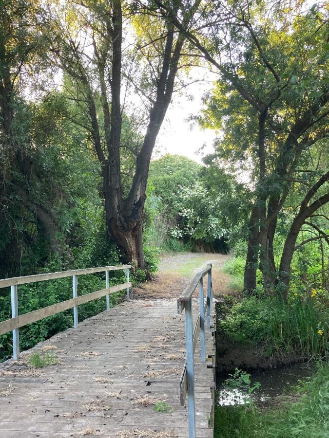 Apartamento turístico cerca Aranda de Duero La Ren Lecrés Vadocondes Esterno foto
