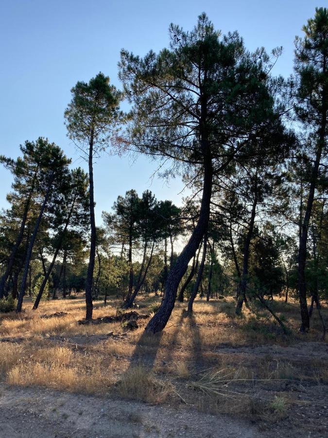 Apartamento turístico cerca Aranda de Duero La Ren Lecrés Vadocondes Esterno foto